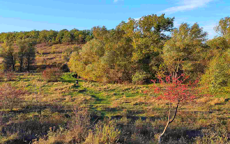 legedzino-korzhovij-kut